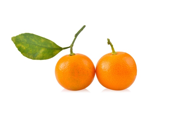 Kumquat orange that placed on white background