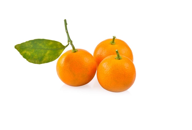 kumquat orange that placed on white background