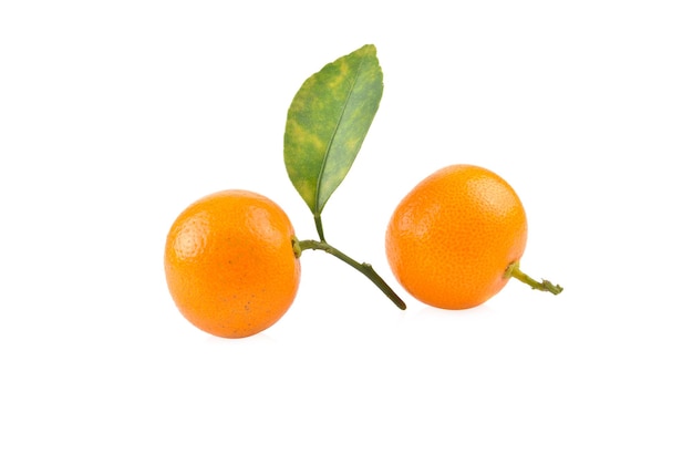 kumquat orange that placed on white background