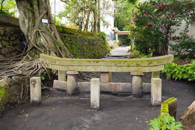 Kurojin buried torii at park