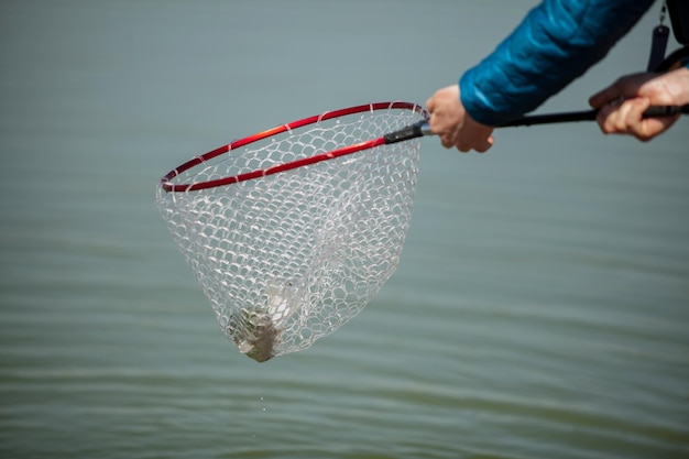 Kyiv, Ukraine April 16, 2018. A fisherman holds a fish in a landing net, closeup shot