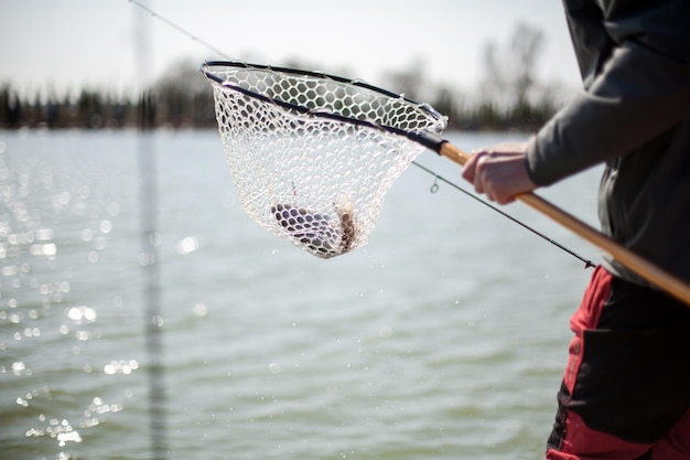 Kyiv, Ukraine April 16, 2018. A fisherman holds a fish in a landing net, closeup shot