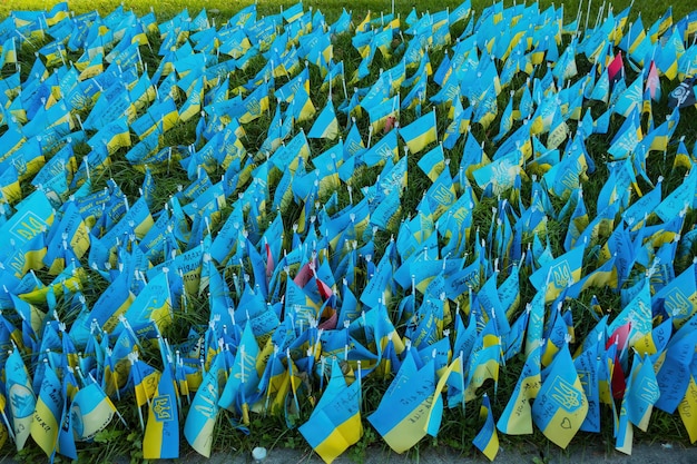 Kyiv Ukraine Jun 25 2022 Many small flags in honor of killed Ukrainian soldiers during the war on grass Martial Peace Graveyard Heroic Memorial Mourning Tomb Defender National Country