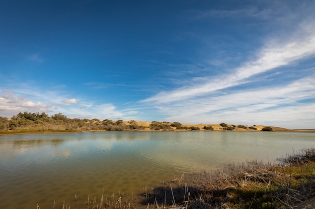 La Charca, bird observation place and nature reserve in Maspalomas in Gran Canaria, Spain