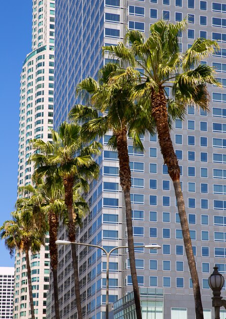 Photo la downtown los angeles pershing square palm tress