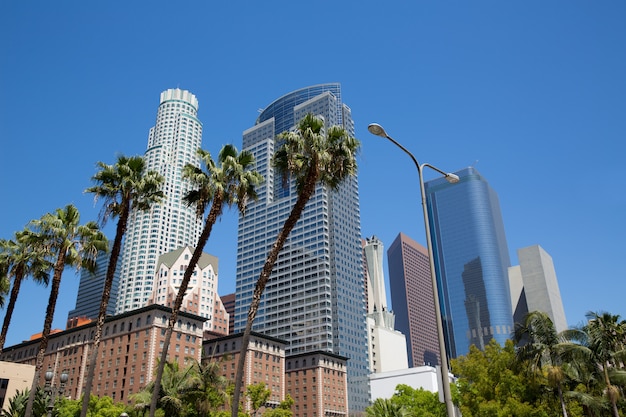 Photo la downtown los angeles pershing square palm tress