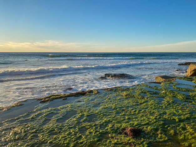 La Jolla shores and beach in La Jolla San Diego, Southern California. USA