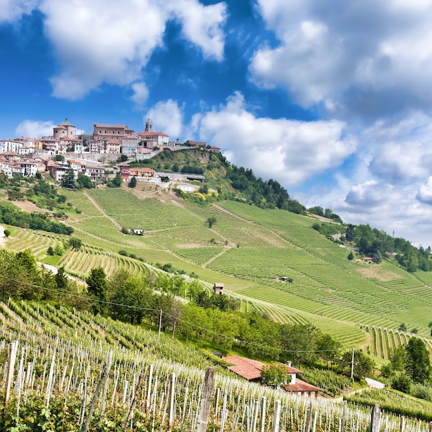 Photo la morra. traditional village close to barolo and alba, in piedmont region, italy.