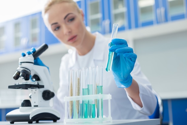 Laboratory samples. Selective focus of test tubes with blue reagents being used for scientific research in the medical lab