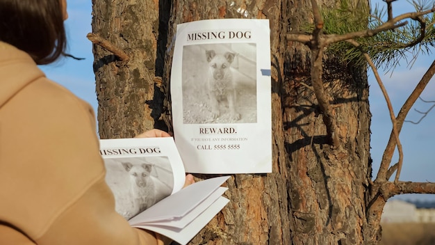 Lady hangs poster of missing dog and strokes photo on tree