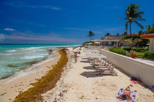 Lady in sexy string bikini sunbathing on a sandy beach with seaweeds in Playa del Carmen Yukatan Mexico