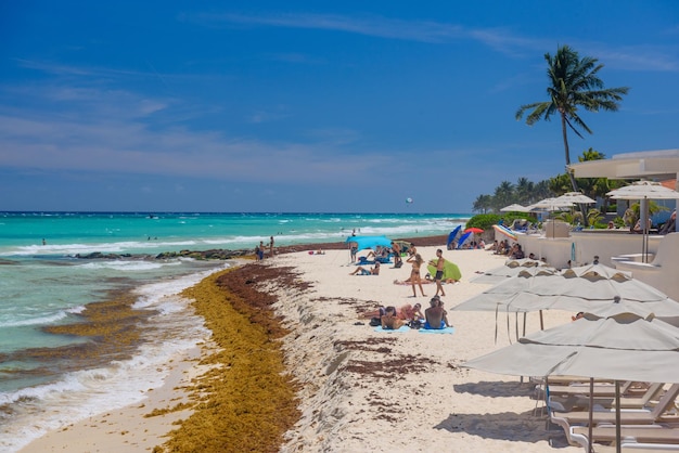 Lady in sexy string bikini sunbathing on a sandy beach with seaweeds in Playa del Carmen Yukatan Mexico