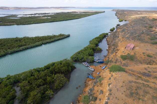 The lagoon of punta gallinas and mangroves in the desert