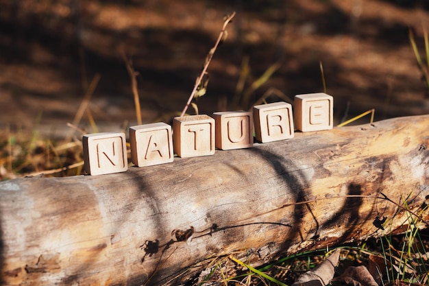 The laid out inscription nature from wooden cubes Birch fallen tree in the autumn forest The concept of nature conservation