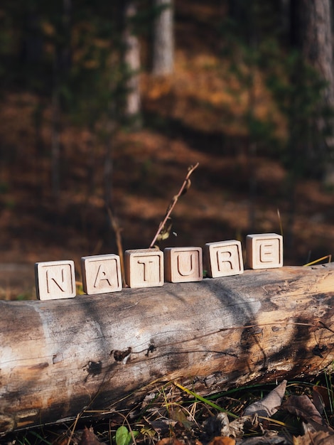 The laid out inscription nature from wooden cubes Birch fallen tree in the autumn forest The concept of nature conservation