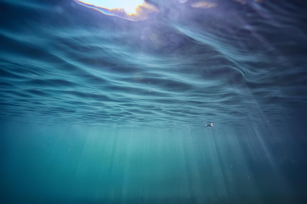 lake background water underwater abstract / fresh water diving background nature underwater ecosystem background