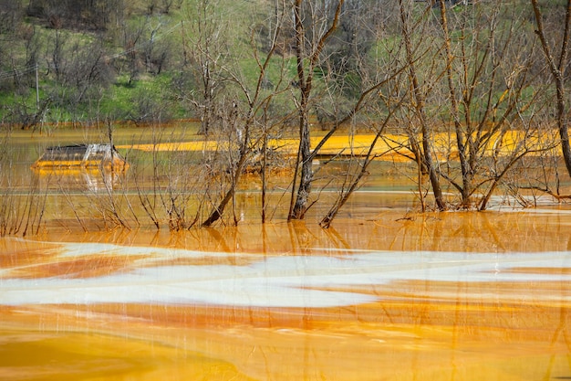 A lake contaminated with toxic waste in the western mountains of Romania Nature pollution