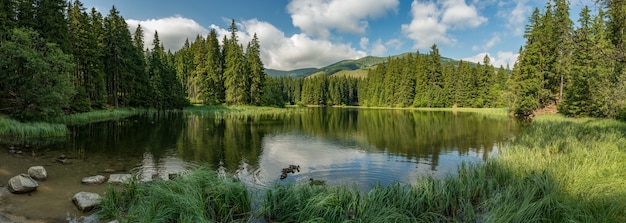 Lake in the forest in lower tatra mountains vacation