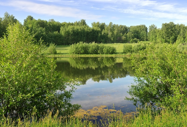 Lake in the forest in summer The surface of the water with the reflection of the green trees under