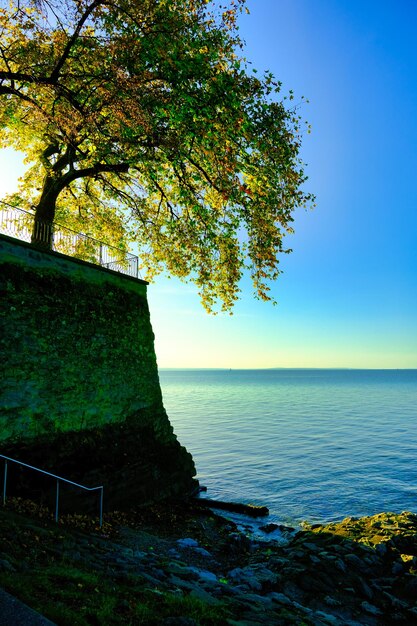 Over the lake and horizon