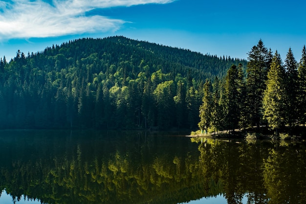 The lake is covered with mountains and coniferous forest lake synevyr ukraine purity in nature