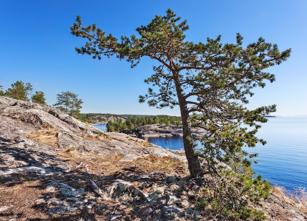 Lake Ladoga skerries Karelia Russia