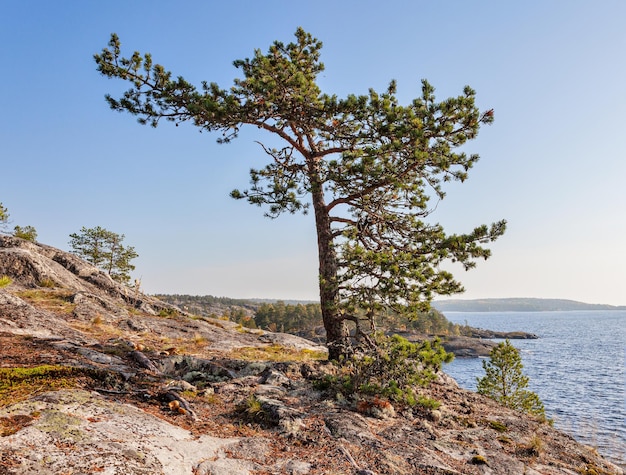 Lake Ladoga skerries Karelia Russia