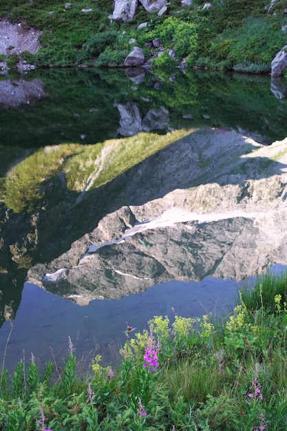 Lake mirror