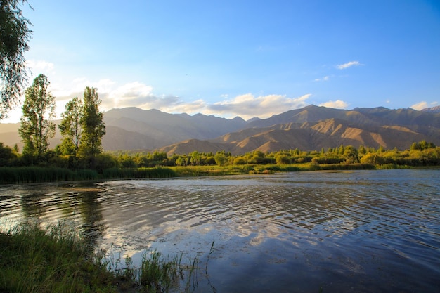 Lake in the mountains Quiet bay in the greenery at sunset Place for rest Kyrgyzstan Lake IssykKul