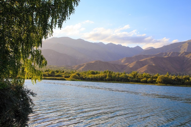 Lake in the mountains Quiet bay in the greenery at sunset Place for rest Kyrgyzstan Lake IssykKul