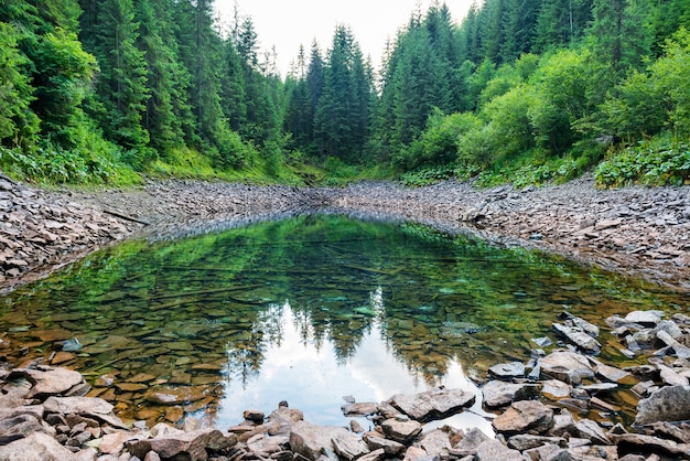 Lake in the mountains with clear water surrounded by green forest