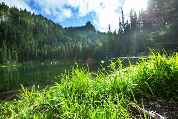 Lake in mountains