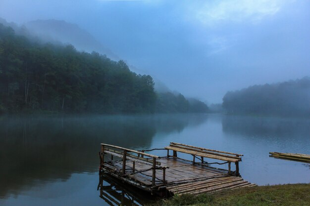 Lake nature