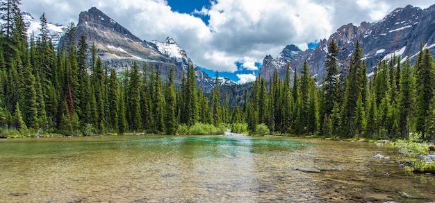 Lake Ohara hiking trail in cloudy day in Spring, Yoho, Canada