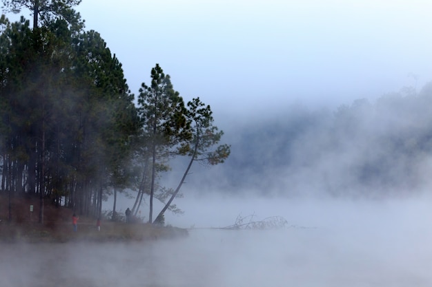 Lake and pine forest on morning time at 