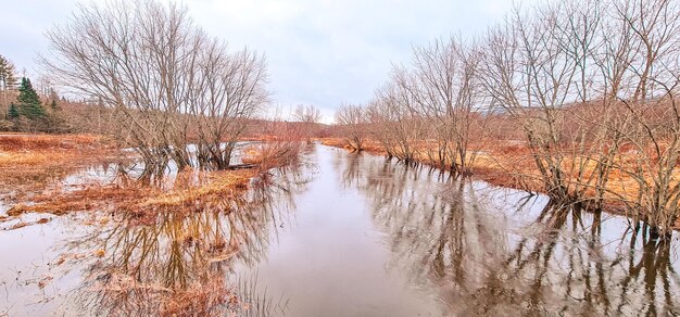 lake and river in the cold weather with snow