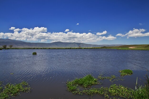 Lake on safari in Kenia and Tanzania, Africa