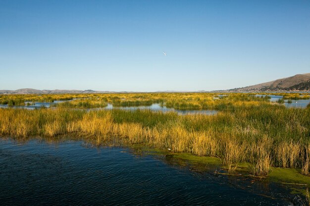 Lake Titicaca is the largest lake in South America and the highest navigable lake in the world