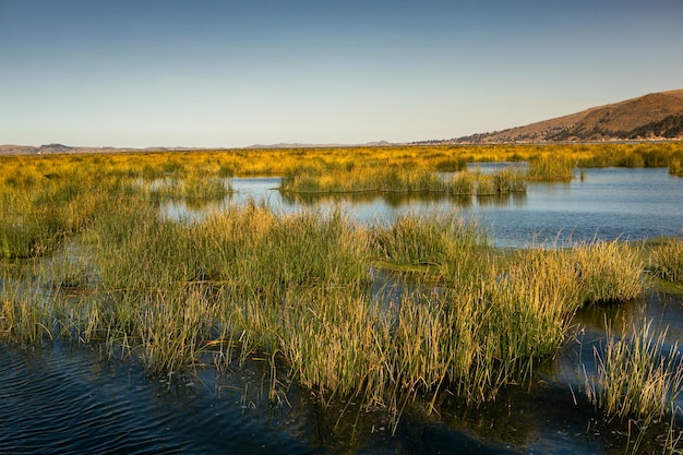 Lake Titicaca is the largest lake in South America and the highest navigable lake in the world