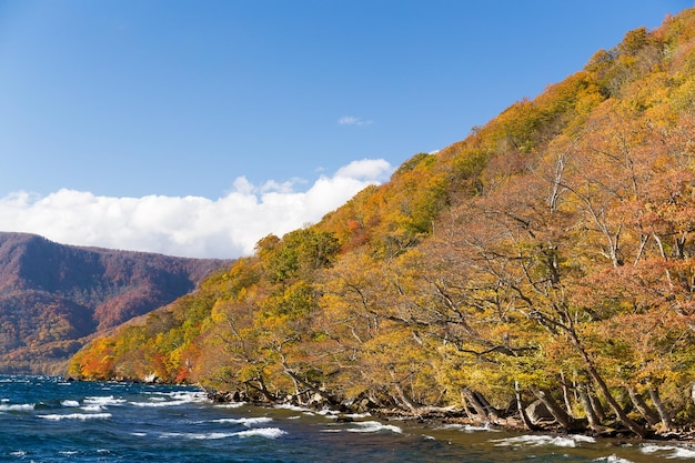 Lake Towada