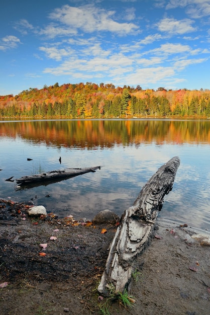 Lake with Autumn foliage, wood log at shore and mountains with reflection in New England Stowe