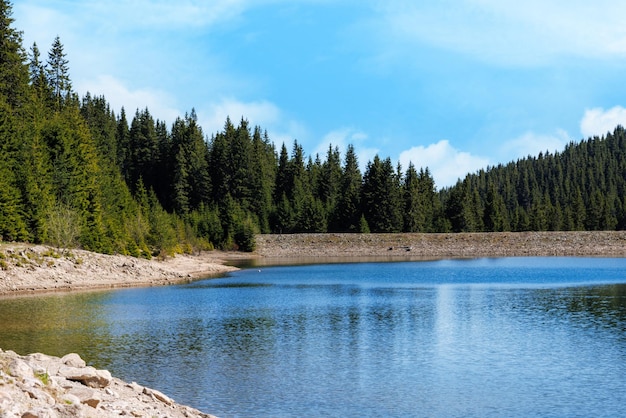 Lake with clear water and stone shore in spruce forest with fir trees against a daytime sky