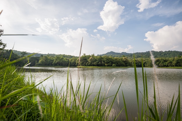 Lake with mirror water level in mysterious forest, and green grass in foreground.