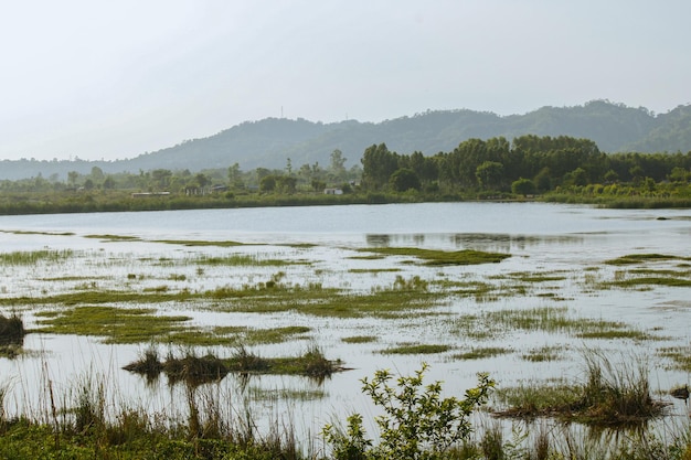 A lake with a mountain in the background