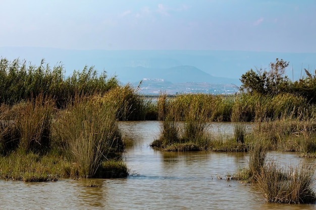 Photo a lake with a mountain in the background