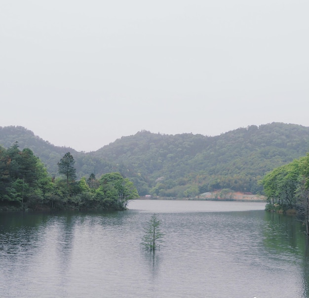 A lake with mountains in the background and a tree in the middle of it.