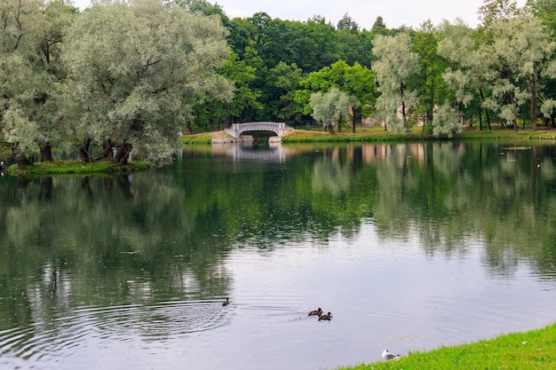 Lake with old bridge in a park in Gatchina Russia