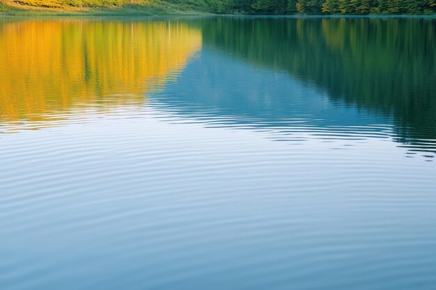 Photo a lake with a reflection of a tree in the water