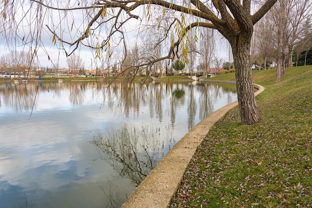 Lake with reflections of trees and sky in a public park in the city of Tres Cantos Madrid