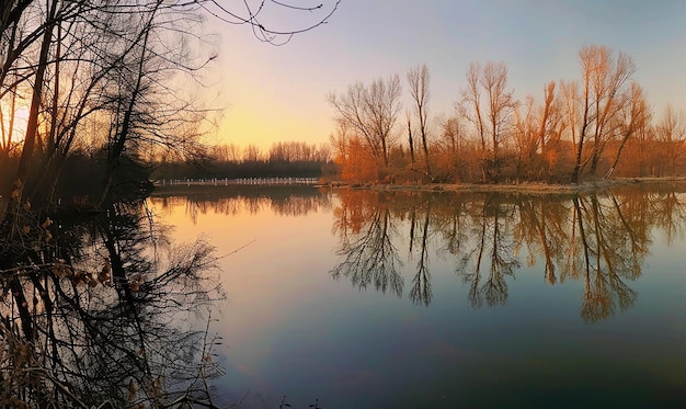 a lake with a sunset and trees in the background